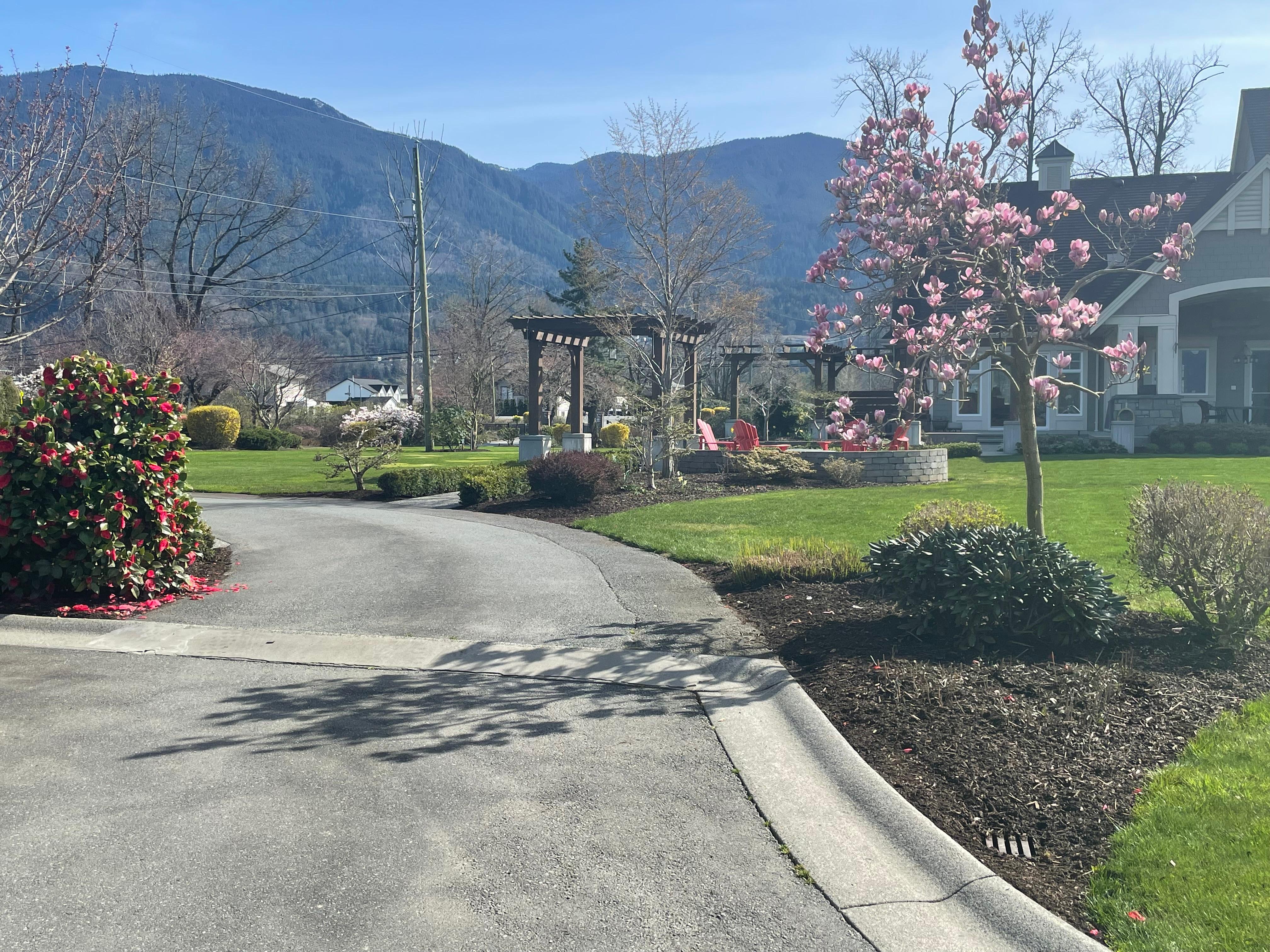 Pressure washed driveway