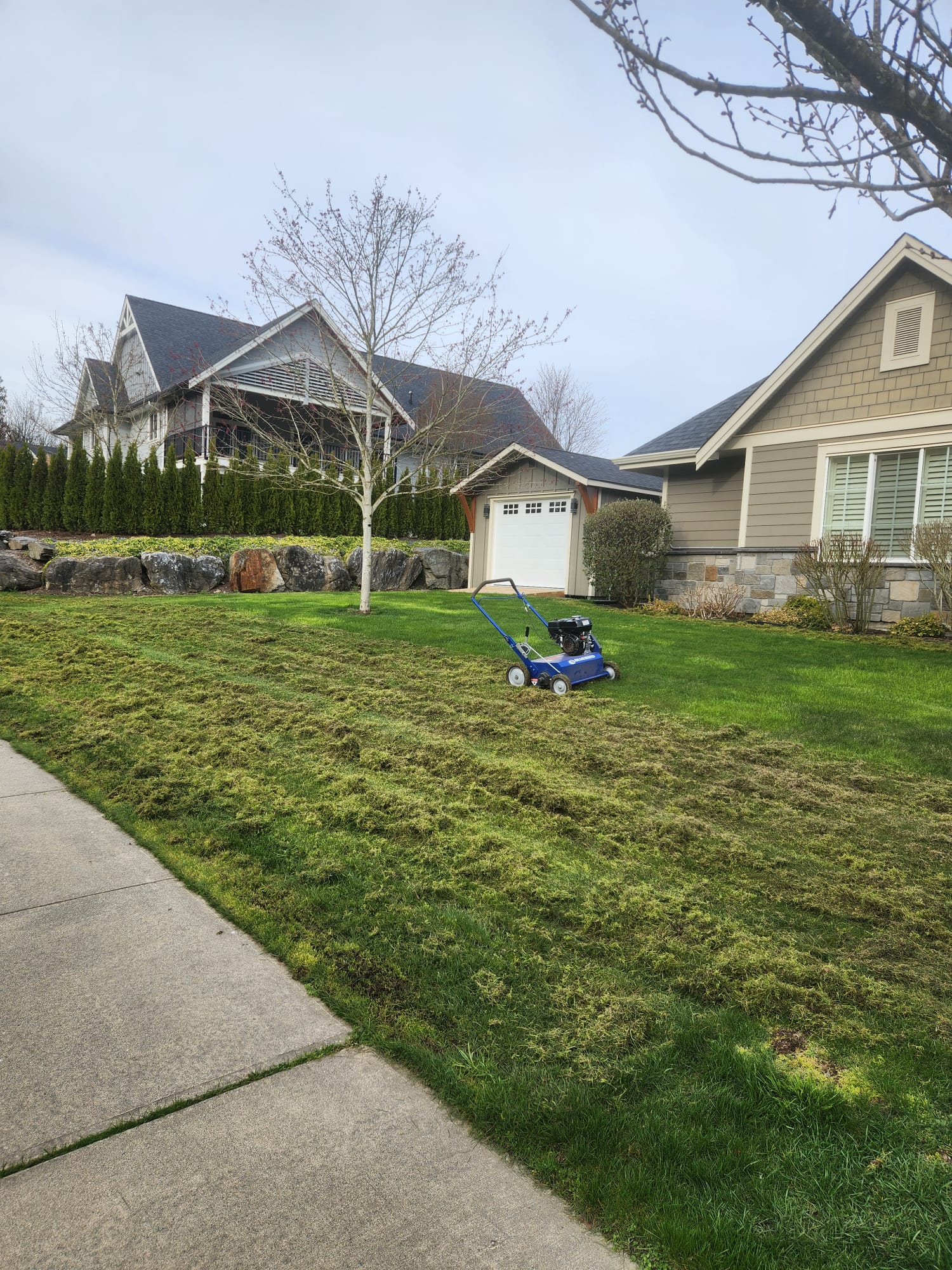 Freshly mowed lawn