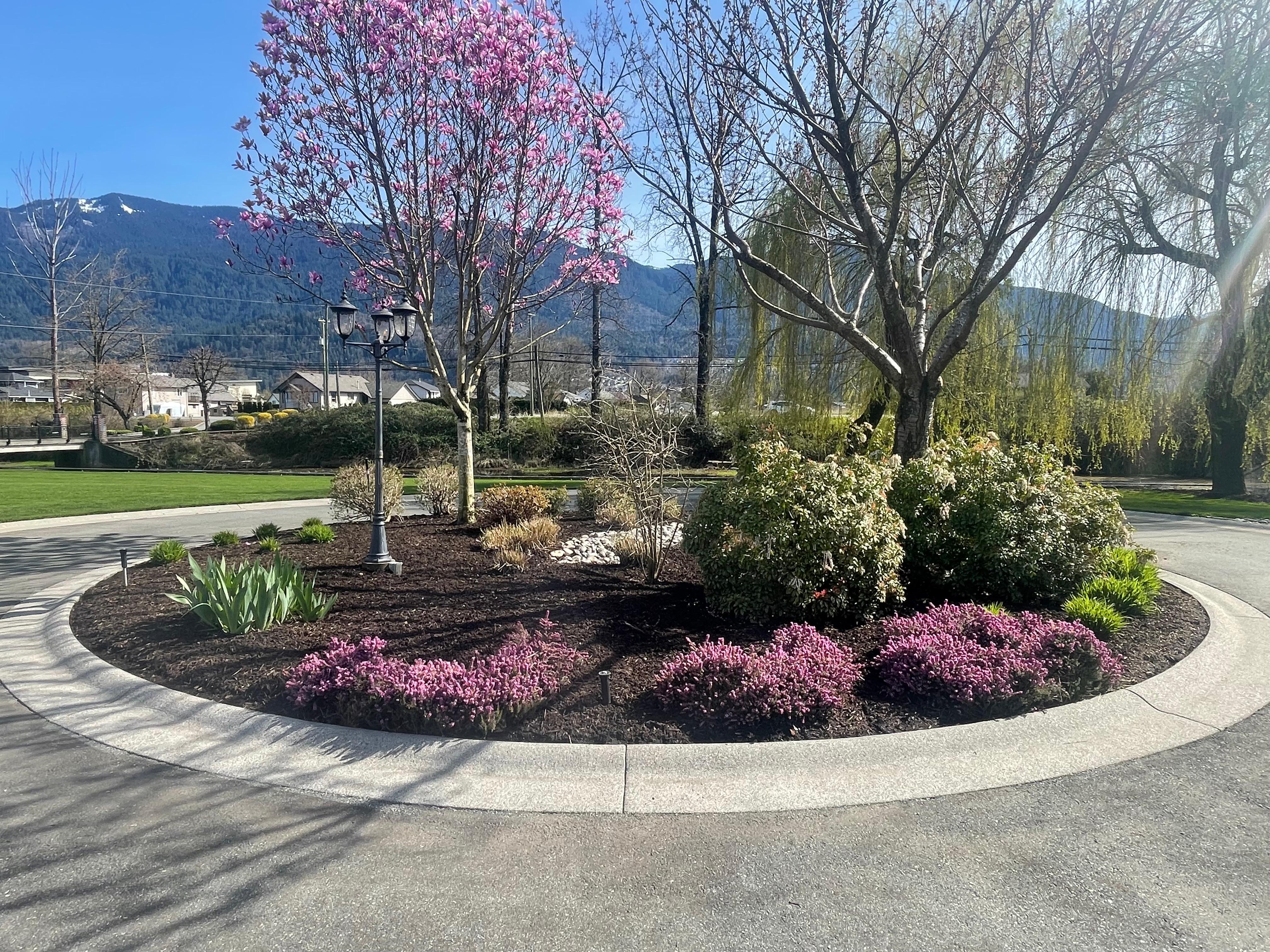Beautifully landscaped yard
