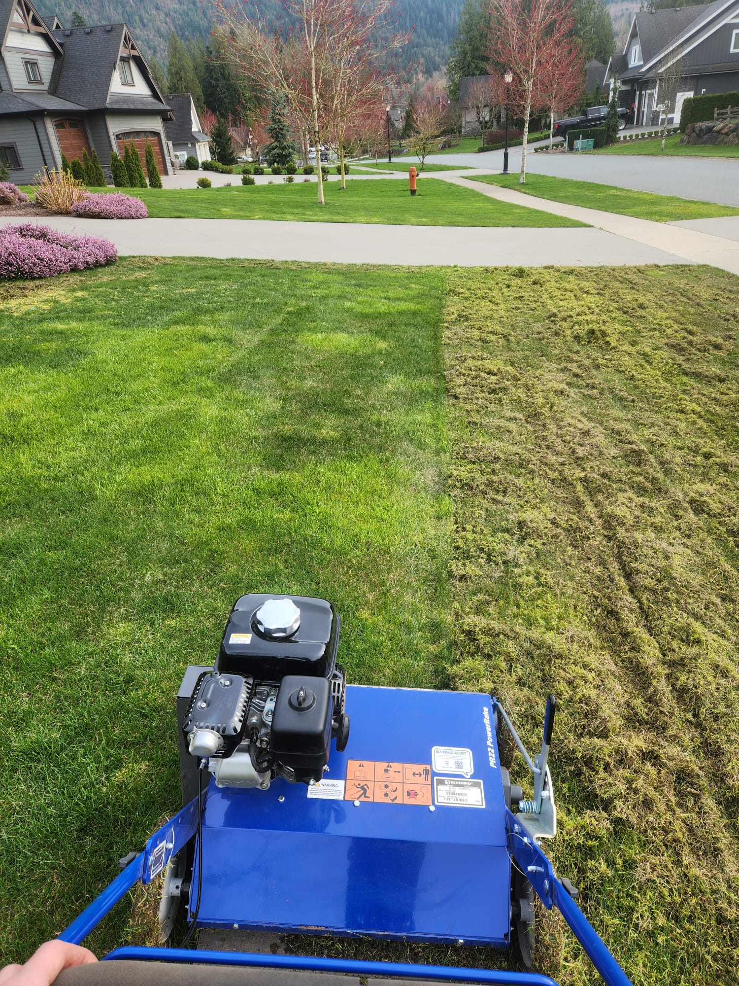 Mowing the yard